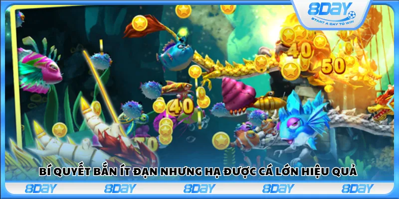 Bí quyết bắn ít đạn nhưng hạ được cá lớn hiệu quả