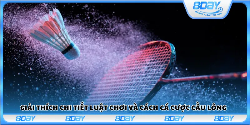 Giải thích chi tiết luật chơi và cách cá cược cầu lông 