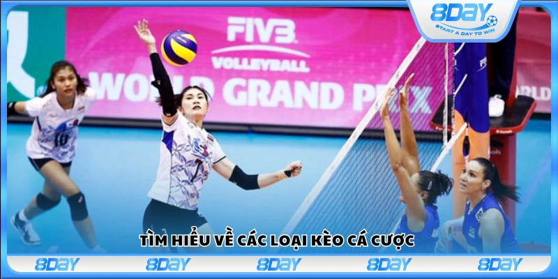 Nghiên cứu các loại kèo cược sẵn có