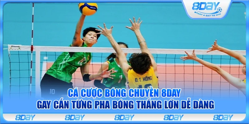 Cá cược Bóng chuyền 8Day – Gay cấn từng pha bóng thắng lớn dễ dàng
