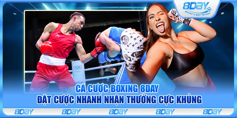 Cá cược Boxing 8Day – Đặt cược nhanh nhận thưởng cực khủng
