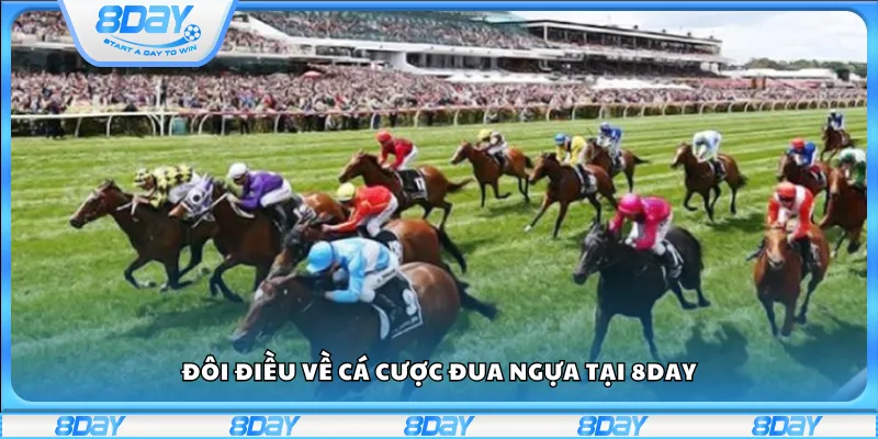 Đôi điều về cá cược đua ngựa tại 8day
